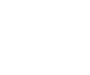 Evolution games at Lion Slots Casino