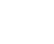 NetEnt games at Lion Slots Casino
