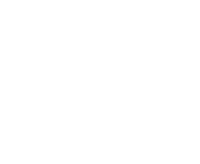 Pragmatic Play games at Lion Slots Casino
